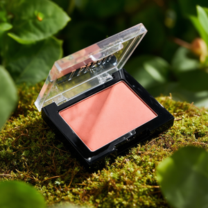 Dinto Blur Finish Blusher 501 Merry Orwell, Rubor Mate Suave, Color Natural para Mejillas, para Todo Tipo de Piel, Fórmula K Beauty - Product Image 3