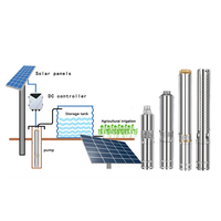 Deep Well 6 pouces, Mini Kit de Donglong d'énergie pour les pompes à eau agricoles solaires Puit