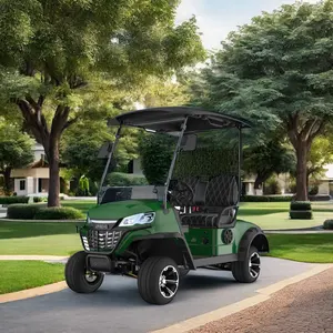 Couleurs personnalisées et logo voiturette de golf électrique 2 sièges avec certificat CE mini voiturette de golf électrique