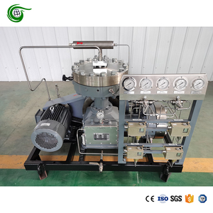 เครื่องอัดไดอะแฟรมเมทิลอะซิทิลีน <span class=keywords><strong>C3H4</strong></span> ประสิทธิภาพการทำงานสูง แรงดันเข้า 10 บาร์ แรงดันออก 250 บาร์ อัตราการไหล 60 นิวตันเมตร 3/ชม. สำหรับอุตสาหกรรม - Product Image 6