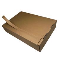 Carpetas de Cartón Kraft con Forma de Avión y Tira de Fácil Desgarre |   Embalaje Ecológico y Seguro para Fundas de Teléfono y Regalos