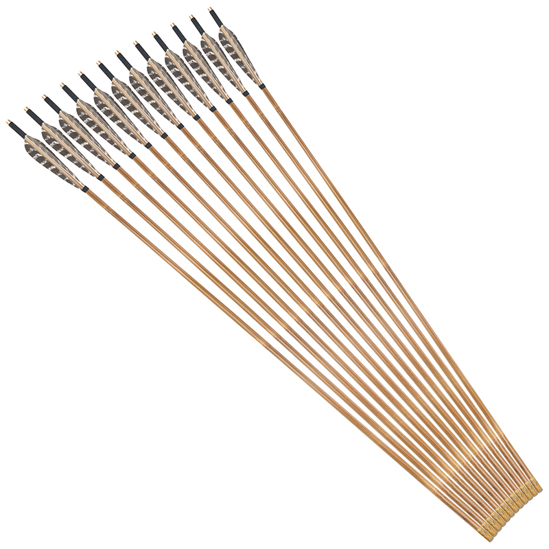 Lot de 6/12/24 pièces de 76,2 cm pour tir à l'arc en carbone
