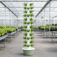 Système hydroponique vertical robuste à 48 plantes et 12 niveaux avec pompe