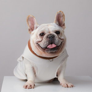 Chaleco para Perro Dafeel Personalizable, Impermeable, Cortavientos, Cálido, para Otoño e Invierno, para Paseos al Aire Libre - Product Image 1