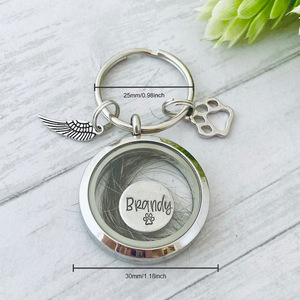 Porte-clés en acier inoxydable pour empreintes de pattes de chat et de chien, bijou commémoratif pour poils d'animaux, urne funéraire pour cendres d'animaux - Product Image 2