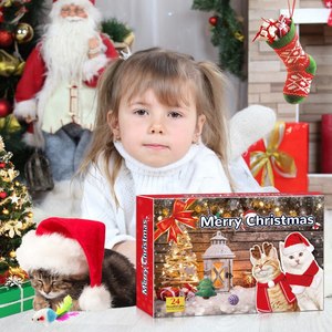 Calendrier de l'Avent pour <span class=keywords><strong>chat</strong></span> avec logo personnalisé, 24 pièces, ensemble de jouets interactifs, marque privée, boîte cadeau pour animaux de compagnie, vente en gros d'usine - Product Image 5
