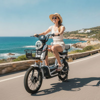 Vélo électrique urbain de qualité commerciale à 2 roues, moteur de moyeu arrière robuste 500W 48V, longue autonomie, haute vitesse