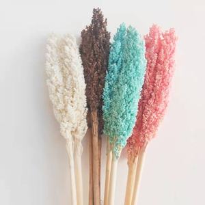 El mundo <span class=keywords><strong>de</strong></span> <span class=keywords><strong>las</strong></span> flores <span class=keywords><strong>de</strong></span> sorgo secas más vendidas para boda/<span class=keywords><strong>casa</strong></span>/decoración del hogar arreglo floral - Product Image 1