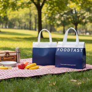 Bolsas Térmicas Desechables de Tela No Tejida para Alimentos, Bolsas Refrigerantes para Llevar Comida con Forro de Papel de Aluminio, Aislamiento Térmico para Entrega de Pasteles/Leche - Product Image 1