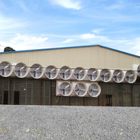 Poulailler en acier léger de qualité supérieure, résistant aux intempéries, sanitaire, pratique, structure stable, maison pratique pour l'élevage de poulets