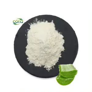Wholesale Bulk Natural Organic 200:1 100:1 Freeze Dried Cosmetic Pure Aloe Vera Gel Powder