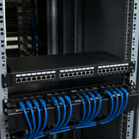 Panel Patch Jaringan 24-Port Cat6 RJ45 1U 19 Inci FTP Berlapis Emas dari Baja Canai Dingin, 750 Kali Penggunaan untuk Penggunaan Industri