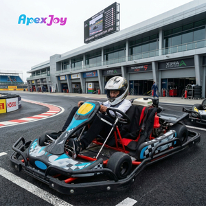 RACE GT קלאסיק דואו - קארט דו מושבי למבוגרים עם דוושות, 200 סמ\"ק, מנוע בנזין ארבע פעימות, בלמי דיסק הידראוליים, הנעה בשרשרת, מגוון צבעים - Product Image 1