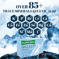 Résine Shilajit riche en acide fulvique 85 + oligo-éléments Supplément à base de plantes Système immunitaire Pilule Shilajit Comprimés de Shilajit de l'Himalaya