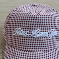 Hoge kwaliteit op maat gemaakte 3D geborduurde logo rode wit geruite meisjes- en dames petten met 5 panelen en gebogen klep