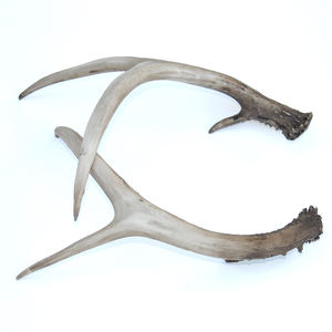 الراتنج الاصطناعي الغزلان انتلرز لسطح الطاولة - Product Image 3