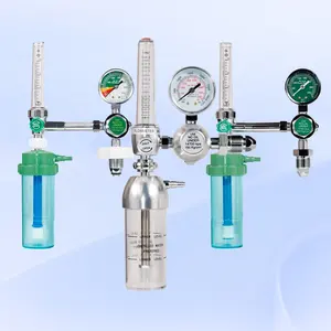 Customized Connection Buoy Type Oxygen Inhaler Hospital Bull Nose Medical Oxygen Pressure Regulator With Humidified Bottle