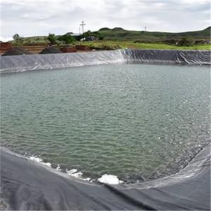 <span class=keywords><strong>Bâche</strong></span> de bassin en plastique, revêtement de bassin en <span class=keywords><strong>EPDM</strong></span>, revêtement de bassin en HDPE, couverture de bassin, revêtement en HDPE de 0,3 mm, revêtement en <span class=keywords><strong>EPDM</strong></span>, revêtement de bassin en <span class=keywords><strong>EPDM</strong></span>, géomembrane - Product Image 6