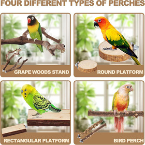Support mural en <span class=keywords><strong>bois</strong></span> naturel fait main pour oiseaux de petite et moyenne taille - Product Image 3