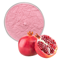 Poudre de fruit de grenade soluble dans l'eau, fournie par l'usine
