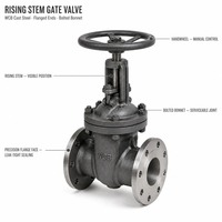 Katup Gerbang Segitiga OS&Y Tipe Rising Stem dengan Bonnet Terpasang Baut, Bahan A216 WCB Kelas 300, Standar API 600 API 598, untuk Pipa Minyak Mentah Pabrik Langsung dari Pabrik