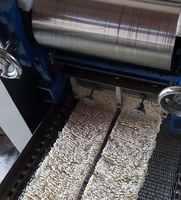 Machine automatique de fabrication de nouilles instantanées en sachet, ligne de production industrielle de nouilles instantanées en sachet pour l'emballage alimentaire