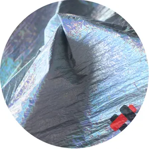 Silver Colorful Crinkle Nylon Hologram Effect Fabric For Kinds Wear