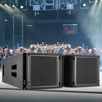 Enceinte double Line Array de 8 pouces Amplificateurs d'équipement Système de sonorisation Enceintes professionnelles passives Line Array Cabinet