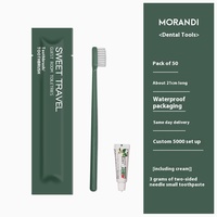 Ensemble de brosses à dents jetables haut de gamme à poils souples hôtel spécial accueil dentifrice voyage utilisation fabricant en gros