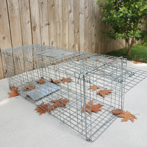 Kandang Perangkap Kucing & Anjing Otomatis Humane Grosir - Langsung dari Pabrik, Lipat dengan Pedal untuk Penyelamatan, TNR, dan Pengendalian Hewan - Product Image 1