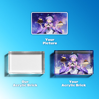 Brique acrylique personnalisée de personnage de jeu, collection d'animations 3D superposées, bloc pour boutiques et cadeau pour les fans