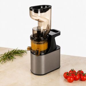 <span class=keywords><strong>Extracteur</strong></span> de jus électrique silencieux 500W, 800ML, facile à nettoyer, prix usine ODM de qualité supérieure, pour chefs professionnels et restaurants - Product Image 1