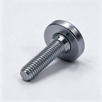 Vis de réglage de niveau réglable en zinc pour meubles, vis de réglage pour table, armoire M6 M8 M10