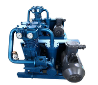Compresor de GLP precio compresor de gas LPG Corken 491
