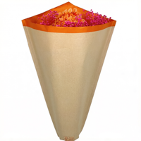 Einzigartige Handgefertigte Sonnenblumen-Hüllen aus Reiner Holzfaser mit Pyramiden-Design für Pflanzenverpackungen