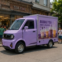 Camionnette électrique mini-cargo à 4 roues, véhicule utilitaire électrique pour livraison, capacité de charge de 500 kg, vitesse maximale de 85 km/h, idéal pour les entreprises de café, fleurs, barbecue et street food.
