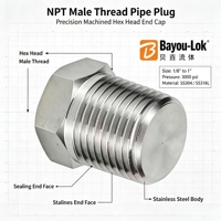 Raccord de valve forgé poli à filetage mâle hexagonal, bouchon de tuyau en acier inoxydable 304/316L, embout de tuyau à tête hexagonale, pièce de rechange pour régulateur de gaz