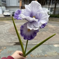 Bunga Iris Buatan Tiruan Gaya Taman Grosir 1 Tangkai dari EVA untuk Dekorasi Pernikahan, Acara, dan Rumah
