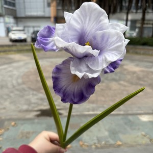 Fleurs d'<span class=keywords><strong>iris</strong></span> artificielles en EVA à 1 tête, style <span class=keywords><strong>jardin</strong></span>, pour la décoration <span class=keywords><strong>de</strong></span> mariages, événements et maisons (vente en gros) - Product Image 4