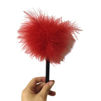 Plume de stimulation pour jeux de rôle pour adultes, accessoires BDSM, jouets sexuels