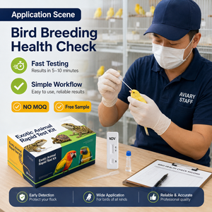 Kit <span class=keywords><strong>de</strong></span> Prueba Rápida NDV para Loros, Palomas y Aves Exóticas, Uso Veterinario, Sin Pedido Mínimo, Muestra Gratuita - Product Image 4