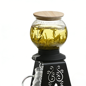 Teiera in Vetro Portatile con Filtro Rimovibile, Teiera Compatta in Borosilicato per Viaggi e Uso all'Aperto, Facile da Trasportare e Conservare - Product Image 1