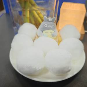 Mídia Filtrante Especial para Tratamento Ecológico de Águas Residuais de Aquicultura - Product Image 4