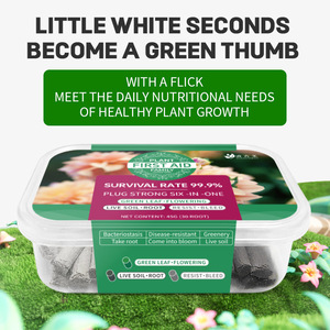Barra de Nutrientes de Liberación Lenta Tricolor para Plantas en Maceta - Fertilizante para Hojas Verdes y Enraizamiento - Product Image 4