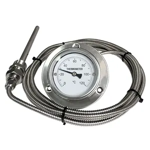 Roestvrij Staal Capillaire Bimetaal Thermometer Gauge