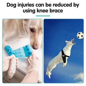 6 yan stabilizatörler ile köpek dizlik Fit <span class=keywords><strong>4</strong></span> bacaklar, yırtılmış Acl Hind bacak Luxating Patella için köpek bacak parantez, köpek kalça eklem bakım Sup - Product Image 6