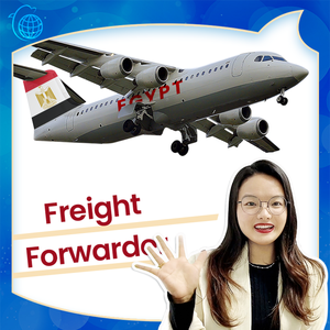 Servicios económicos de transporte de carga DDP desde Egipto Carga aérea/marítima con LCL + Transporte por carretera Tarifas de envío competitivas - Product Image 6