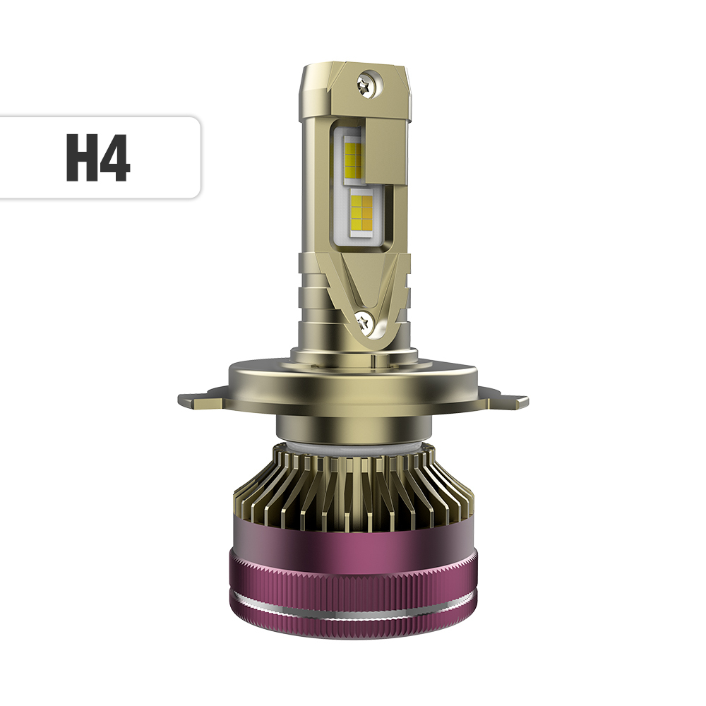 H4