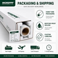 Película Protectora de Pintura para Automóviles con Cambio de Color, Vinilo TPU Autoregenerable 2 en 1, Brillante, Mate, Metálico, PPF para Automóviles, OEM, ODM