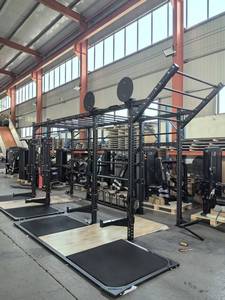 Rack de Potencia para Gimnasio Fabricado en Fábrica, Rig de Pared Personalizado para Gimnasio, Jaula de Potencia Comercial para Crossfit - Product Image 4